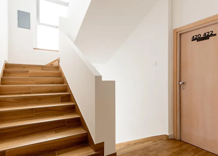 فندق Clubhotel تْشيزيناتيكو